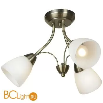 Потолочная люстра Lussole Cantu LSQ-1807-03