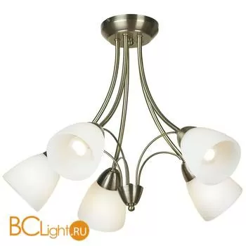 Потолочная люстра Lussole Cantu LSQ-1807-05