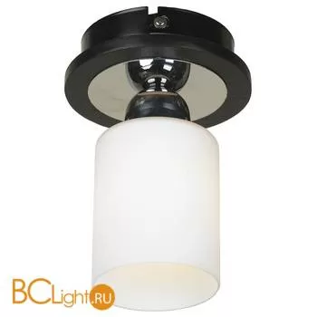 Потолочный светильник Lussole Caprile LSF-6107-01