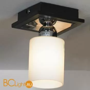 Потолочный светильник Lussole Caprile LSF-6117-01