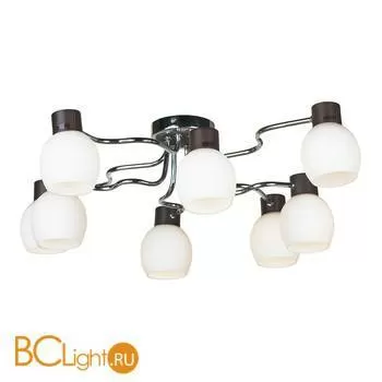 Потолочная люстра Lussole Carpino LSC-8503-08