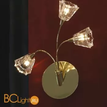 Бра Lussole Caserta LSC-3011-03