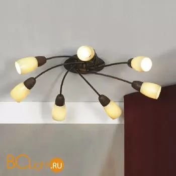 Потолочная люстра Lussole Cevedale LSQ-6917-07