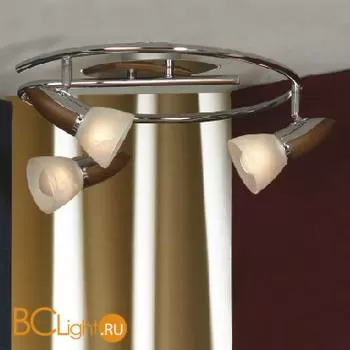 Потолочная люстра Lussole Cisterino LSQ-6401-03