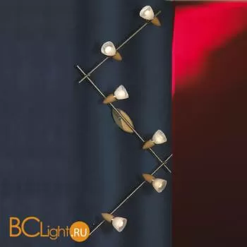 Спот (точечный светильник) Lussole Cisterino LSQ-6419-06