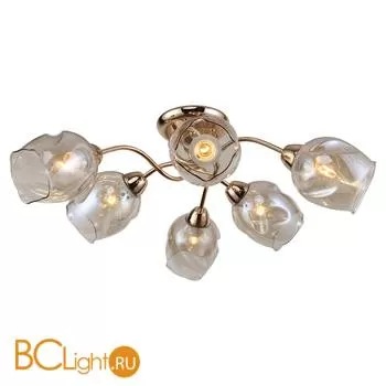 Потолочная люстра Lussole Cochise LSP-8086