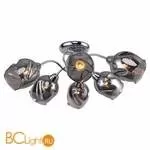 Потолочная люстра Lussole Cochise LSP-8087