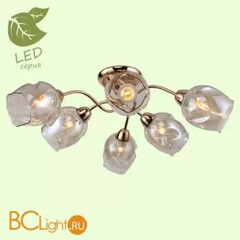 Потолочная люстра Lussole Cochise GRLSP-8086