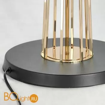 Торшер Lussole COLLECTION LSP-0596 - Фото 0