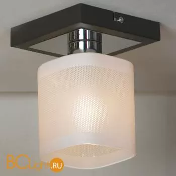 Потолочный светильник Lussole Costanzo LSL-9007-01