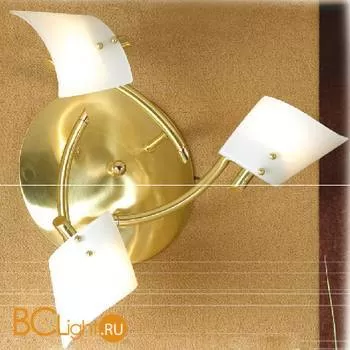 Потолочная люстра Lussole Dragoni LSL-1309-03