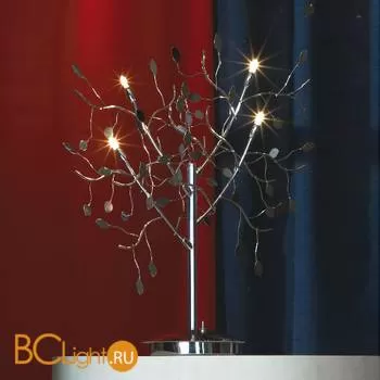 Настольная лампа Lussole Estivo LSQ-7104-04