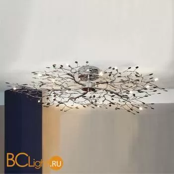 Потолочный светильник Lussole Estivo LSQ-7107-15