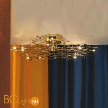 Потолочный светильник Lussole Estivo LSQ-7117-10