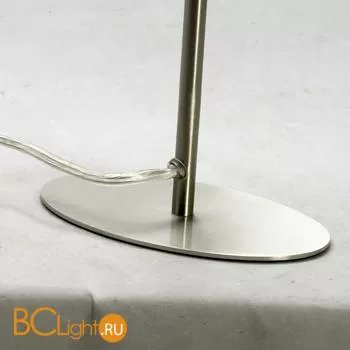 Настольная лампа Lussole Evans LSP-0548 - Фото 0