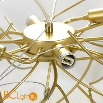 Люстра Lussole Fayette LSP-8455 - Фото 4