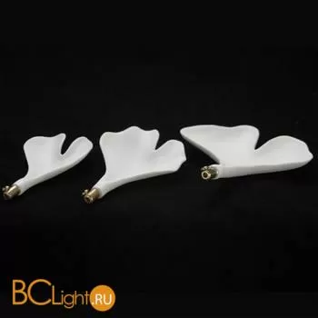 Люстра Lussole Fayette LSP-8552 - Фото 2