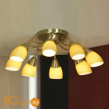 Потолочная люстра Lussole Fiora LSQ-8203-08