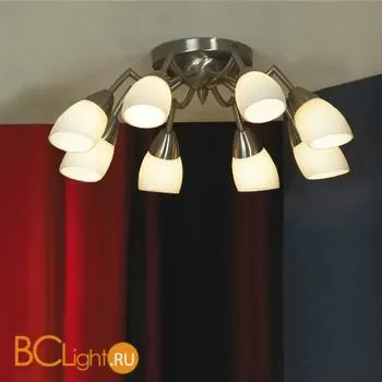 Потолочная люстра Lussole Fiora LSQ-8293-08