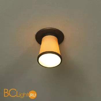 Спот (точечный светильник) Lussole Fossombrone LSL-2300-01