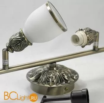 Спот (точечный светильник) Lussole Furlo LSL-7309-04 - Фото 2