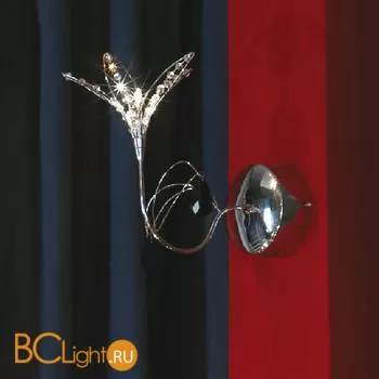 Бра Lussole Giglio LSA-6001-01