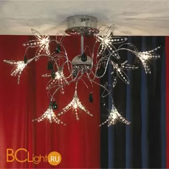 Потолочная люстра Lussole Giglio LSA-6007-09