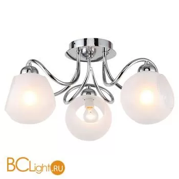 Потолочная люстра Lussole Iliamna LSP-8139