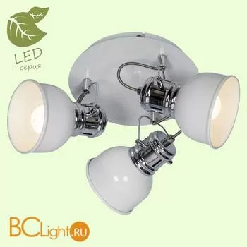 Потолочный светильник Lussole Inari GRLSP-9956