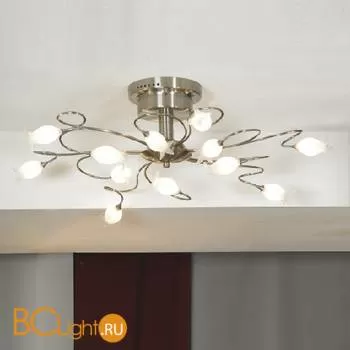 Потолочная люстра Lussole Laubello LSA-3393-12