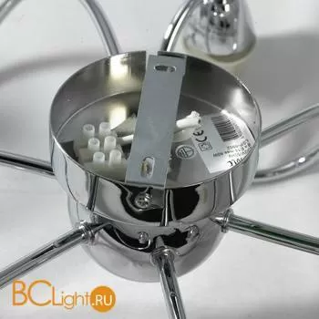 Потолочная люстра Lussole Lion LSP-9902 - Фото 1