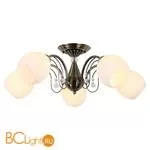 Потолочная люстра Lussole Lion LSP-8072