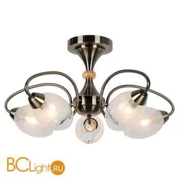 Потолочная люстра Lussole Lion LSP-8073