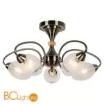 Потолочная люстра Lussole Lion LSP-8073