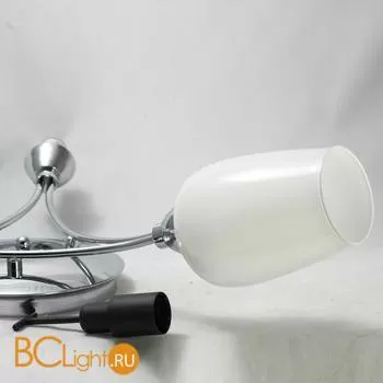 Потолочная люстра Lussole Lion LSP-8074 - Фото 1