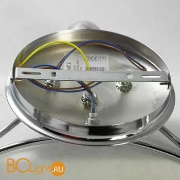 Потолочная люстра Lussole Lion LSP-8074 - Фото 4