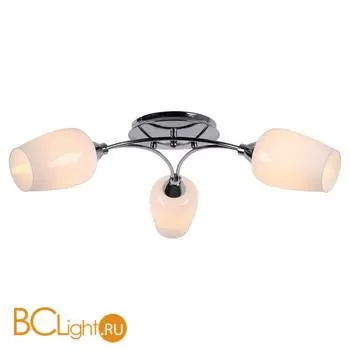 Потолочная люстра Lussole Lion LSP-8074