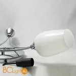 Потолочная люстра Lussole Lion LSP-8074 - Фото 1