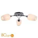 Потолочная люстра Lussole Lion LSP-8074