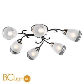 Потолочная люстра Lussole Lion LSP-9952