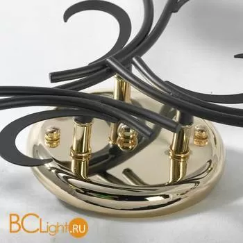 Потолочная люстра Lussole Lion LSP-9952 - Фото 3