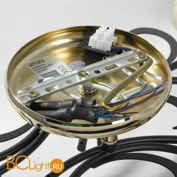 Потолочная люстра Lussole Lion LSP-9952 - Фото 2