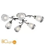 Потолочная люстра Lussole Lion LSP-9952