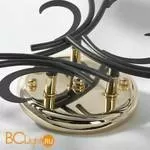 Потолочная люстра Lussole Lion LSP-9952 - Фото 3