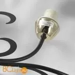 Потолочная люстра Lussole Lion LSP-9952 - Фото 0