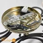 Потолочная люстра Lussole Lion LSP-9952 - Фото 2