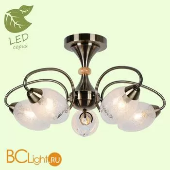 Потолочная люстра Lussole Lion GRLSP-8073