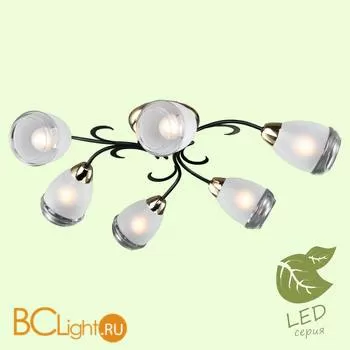 Люстра Lussole Lion GRLSP-9952