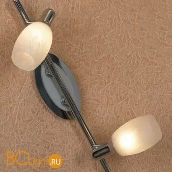 Спот (точечный светильник) Lussole Lissone LSL-8301-02