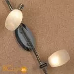 Спот (точечный светильник) Lussole Lissone LSL-8301-02